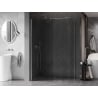Mexen Kioto-X Walk-in Shower Screen 100 x 100 cm, Transparent 10 mm, Chrome - 800-100-202-01-00-100-X