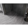 Mexen Kioto-X Walk-in Shower Wall 160 x 110 cm, Transparent 10 mm, Gold - 800-160-202-50-00-110-X