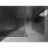Mexen Kioto-X Walk-in Shower Wall 160 x 110 cm, Transparent 10 mm, Gold - 800-160-202-50-00-110-X