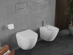 Mexen Lena Rimless Tornado WC Bowl with Slow-Close Hard Seat, Duroplast, Gloss White - 30220200T