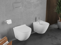 Mexen Lena Rimless Tornado WC Bowl with Soft-Close Slim Seat, Duroplast, Glossy White - 30224000T