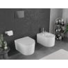 Mexen Sofia WC Bowl Rimless Tornado with Slim Soft-Close Seat, Duroplast, Glossy White - 30540300T