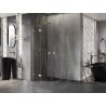 Mexen Lunar semi-circular hinged shower enclosure 70 x 70 cm, transparent, gold - 833-070L-070P-50-00