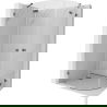 Mexen Lunar Semi-Circular Hinged Shower Enclosure Left 100 x 80 cm, Transparent, Brushed Gun Gray - 833-100L-080P-66-00