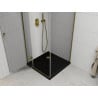 Mexen Roma 90 x 90 cm Hinged Shower Enclosure, Transparent, Gold + Flat Black Tray - 854-090-090-50-00-4070G