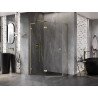 Mexen Lunar L pentagonal pivot shower enclosure left 100 x 90 cm, transparent, brushed gold - 831L-100L-090P-55-00-L