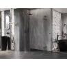 Mexen Lunar L Semi-Circular Shower Enclosure Left-Hinged 100 x 70 cm, Transparent, Gun Metal - 833L-100L-070P-95-00