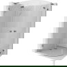 Mexen Lunar L semi-circular shower enclosure, left-opening, 100 x 80 cm, transparent, gun metal - 833L-100L-080P-95-00