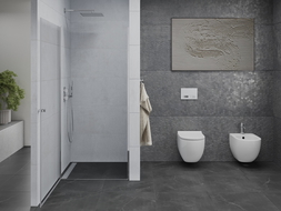 Mexen Pretoria 60 cm Hinged Shower Door, Transparent, Chrome - 852-060-000-01-00