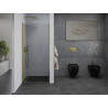 Mexen Pretoria 70 cm pivot shower door, transparent, gold - 852-070-000-50-00