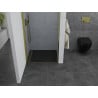 Mexen Pretoria hinged shower door 70 cm, Transparent, Gold - 852-070-000-50-00