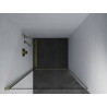 Mexen Pretoria 70 cm pivot shower door, transparent, gold - 852-070-000-50-00