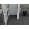 Mexen Pretoria 70 cm pivot shower door, transparent, gold - 852-070-000-50-00