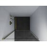 Mexen Pretoria 80 cm Hinged Shower Door, Transparent, Gold - 852-080-000-50-00