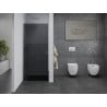 Mexen Pretoria 70 cm Hinged Shower Door, Graphite, Chrome - 852-070-000-01-40