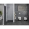 Mexen Pretoria 70 cm Hinged Shower Door, Graphite, Chrome - 852-070-000-01-40