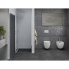 Mexen Pretoria 90 cm hinged shower door, graphite, chrome - 852-090-000-01-40