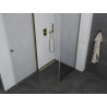 Mexen Pretoria swing shower cabin 70 x 70 cm, transparent, gold - 852-070-070-50-00
