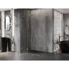 Mexen Lunar L Duo shower enclosure swinging 110 x 80 cm, transparent, gold - 834L-110L-080P-50-00