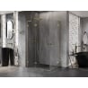 Mexen Lunar L Duo shower enclosure swinging 110 x 80 cm, transparent, gold - 834L-110L-080P-50-00
