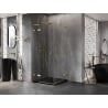 Mexen Lunar L Duo hinged shower enclosure 110 x 110 cm, transparent, brushed gold - 834L-110L-110P-55-00