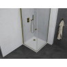 Mexen Pretoria swing shower cabin 70 x 70 cm, transparent, gold + Flat tray - 852-070-070-50-00-4010
