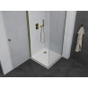 Mexen Pretoria swing shower cabin 70 x 70 cm, transparent, gold + Flat tray - 852-070-070-50-00-4010