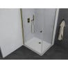 Mexen Pretoria Hinged Shower Cabin 70 x 90 cm, Transparent, Gold + Flat Tray - 852-070-090-50-00-4010