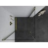 Mexen Pretoria Duo swing shower cabin 70 x 70 cm, transparent, gold - 852-070-070-50-00-02