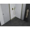 Mexen Pretoria Duo pivot shower cabin 80 x 80 cm, transparent, gold - 852-080-080-50-00-02