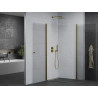 Mexen Pretoria Duo pivot shower cabin 80 x 80 cm, transparent, gold - 852-080-080-50-00-02
