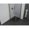 Mexen Pretoria Duo pivot shower cabin 80 x 80 cm, transparent, gold - 852-080-080-50-00-02
