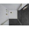 Mexen Pretoria Duo Hinged Shower Cabin 80 x 80 cm, Transparent, Gold + Flat Shower Tray - 852-080-080-50-02-4010G