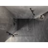 Mexen Lunar Duo hinged shower enclosure 110 x 110 cm, transparent, black - 834-110L-110P-70-00