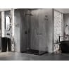 Mexen Lunar L Duo hinged shower enclosure 105 x 80 cm, transparent, gun metal - 834L-105L-080P-95-00
