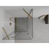 Mexen Roma swing shower cabin 70 x 70 cm, transparent, gold - 854-070-070-50-00