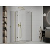Mexen Roma swing shower cabin 100 x 100 cm, transparent, gold - 854-100-100--50-00