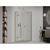 Mexen Roma swing shower cabin 100 x 100 cm, transparent, gold - 854-100-100--50-00