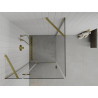 Mexen Roma swing shower cabin 100 x 100 cm, transparent, gold - 854-100-100--50-00
