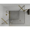 Mexen Roma swing shower cabin 100 x 90 cm, transparent, gold - 854-100-090--50-00