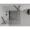 Mexen Roma hinged shower cubicle 80 x 80 cm, Transparent, Black - 854-080-080-70-00