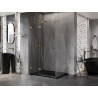 Mexen Lunar T pivot shower cabin left 110 x 80 cm, transparent, gold - 834T-110-080-50-00-L