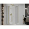 Mexen Roma 90 x 90 cm Swing Shower Cabin, Transparent, Gold + Flat Shower Tray - 854-090-090-50-00-4010