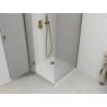 Mexen Roma Shower Enclosure Hinged 90 x 90 cm, Transparent, Gold + Flat Tray - 854-090-090-50-00-4010