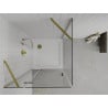 Mexen Roma Shower Enclosure Hinged 90 x 90 cm, Transparent, Gold + Flat Tray - 854-090-090-50-00-4010