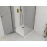 Mexen Roma 100 x 100 cm Swing Shower Enclosure, Transparent, Gold + Flat Shower Tray - 854-100-100-50-00-4010
