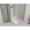 Mexen Roma 90 x 100 cm Hinged Shower Cabin, Transparent, Gold + Flat Shower Tray - 854-090-100-50-00-4010
