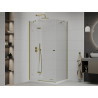 Mexen Roma swing shower enclosure 110 x 70 cm, transparent, gold + Flat shower tray - 854-110-070-50-00-4010