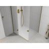Mexen Roma Hinged Shower Enclosure 120 x 80 cm, Transparent, Gold + Flat Tray - 854-120-080-50-00-4010