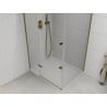 Mexen Roma Hinged Shower Enclosure 120 x 80 cm, Transparent, Gold + Flat Tray - 854-120-080-50-00-4010